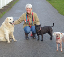 Dog Walking